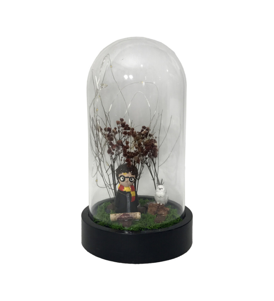 Harry Potter Işıklı Büyük Boy Fanus HK2710