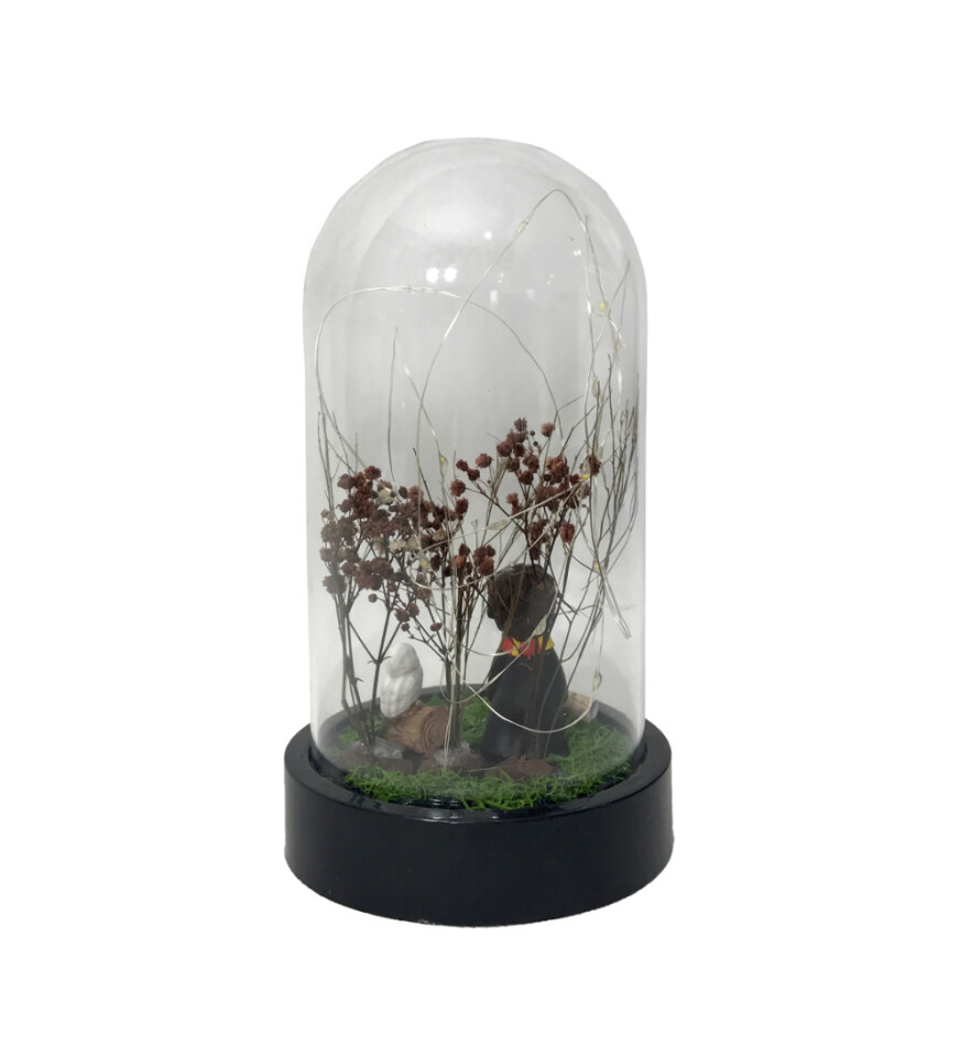 Harry Potter Işıklı Büyük Boy Fanus HK2710