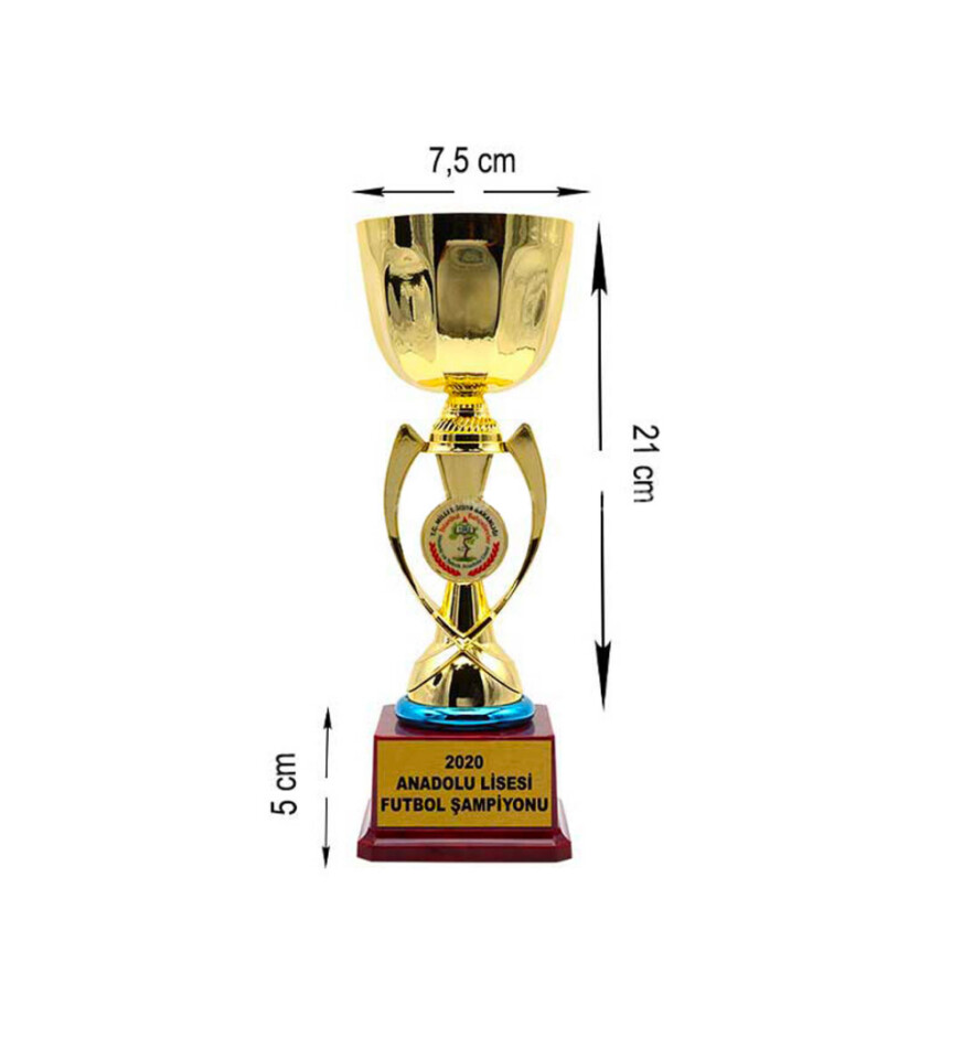 Kişiye Özel Başarı Ödül Kupası 26 cm HK2721