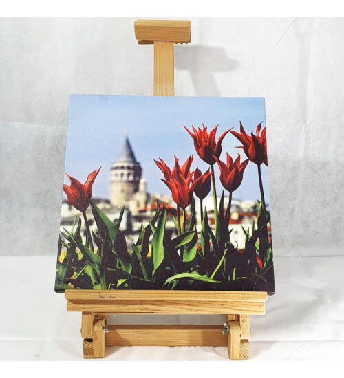 Lalelerin Ardında Galata Kanvas Tablo