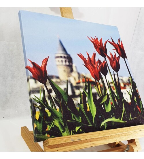 Lalelerin Ardında Galata Kanvas Tablo