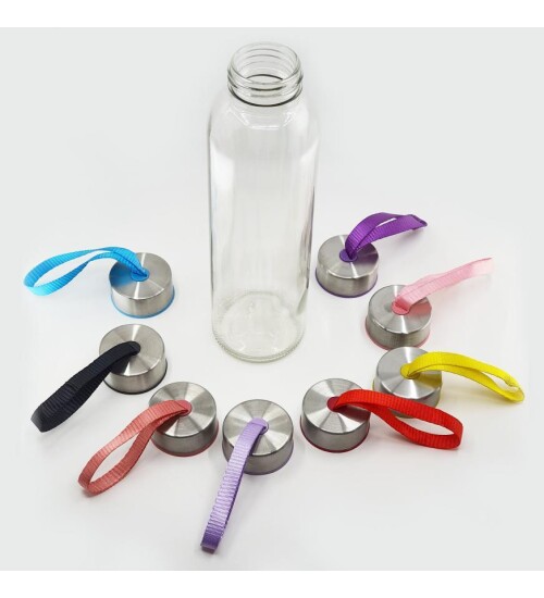 Yavruağzı Renkli Kılıflı Cam Su Şişesi 500 ml