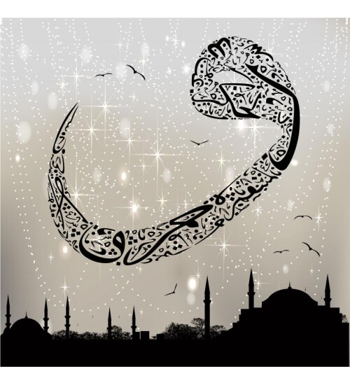 Vav ile İstanbul Kanvas Tablo