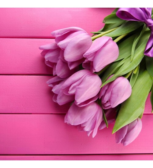 Pembe Lale Buketi Kanvas Tablo