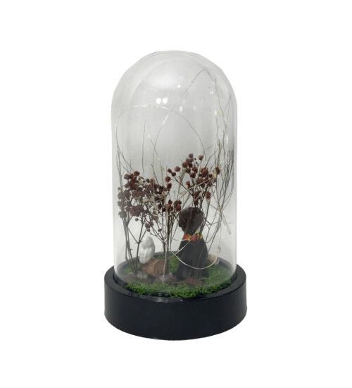 Harry Potter Işıklı Büyük Boy Fanus HK2710