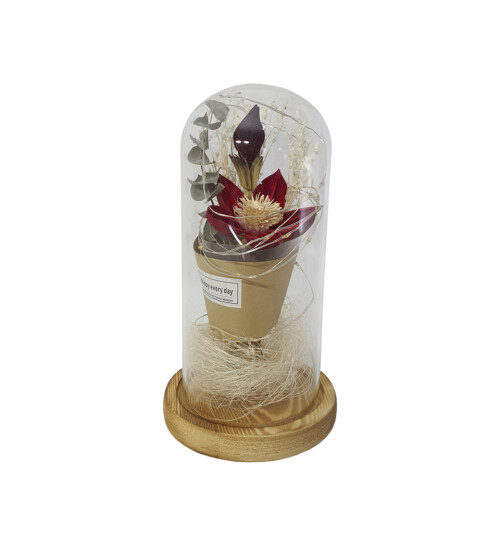 Kırmızı Aşk Çiceği Sevgiliye Hediye Işıklı Fanus HK2717