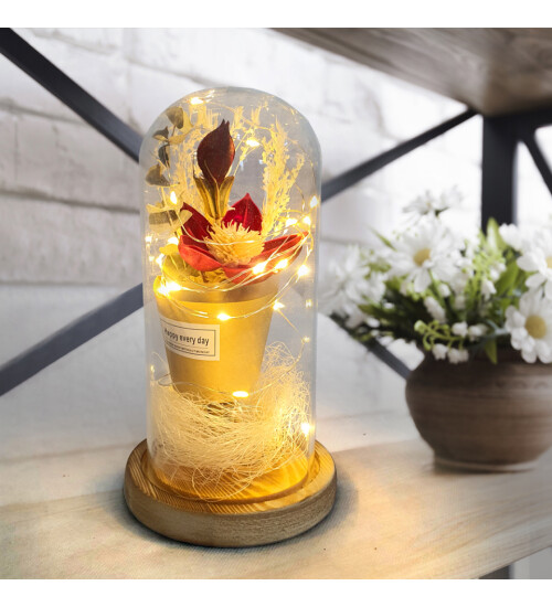 Kırmızı Aşk Çiceği Sevgiliye Hediye Işıklı Fanus HK2717