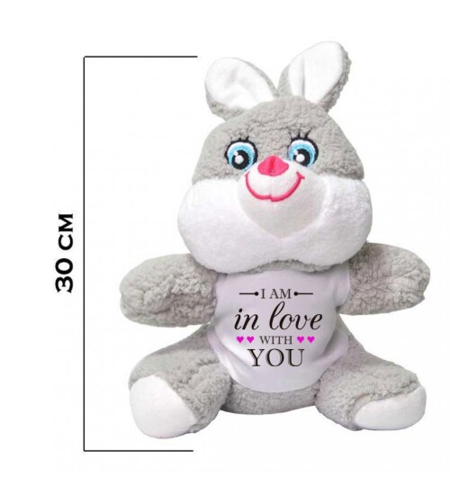 Sana Aşığım Temalı Sevgili Peluş Tavşan HK2456
